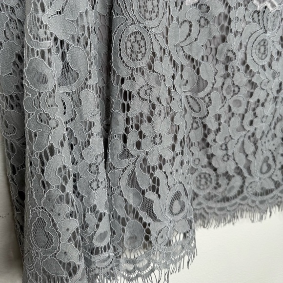 Sundance womens M velvet lace light gray tunic silk blend top Lagenlook fairy - Picture 3 of 9